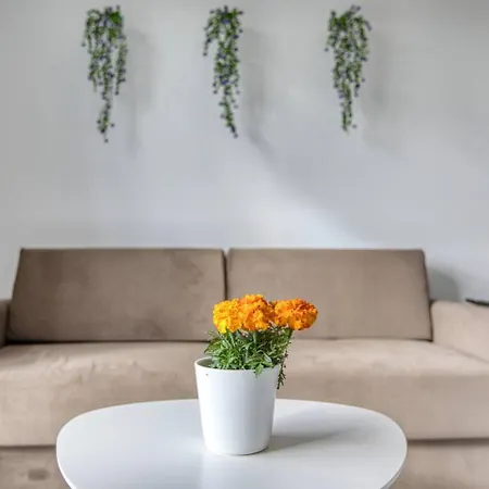 Appartamento Modern, 3-br With Valletta View Pietà